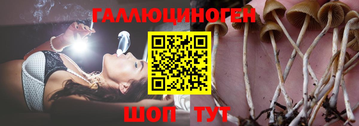 Белорецк  Псилоцибиновые грибы GOLDEN TEACHER  Вход с VPN 